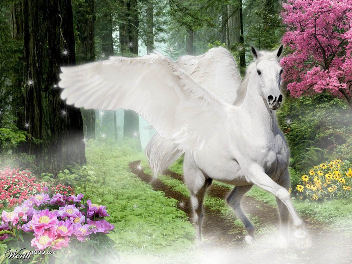 Horse life пегасы. Сказочные лошади. Лошадь с крыльями. Единорог с крыльями. Сказочный конь.