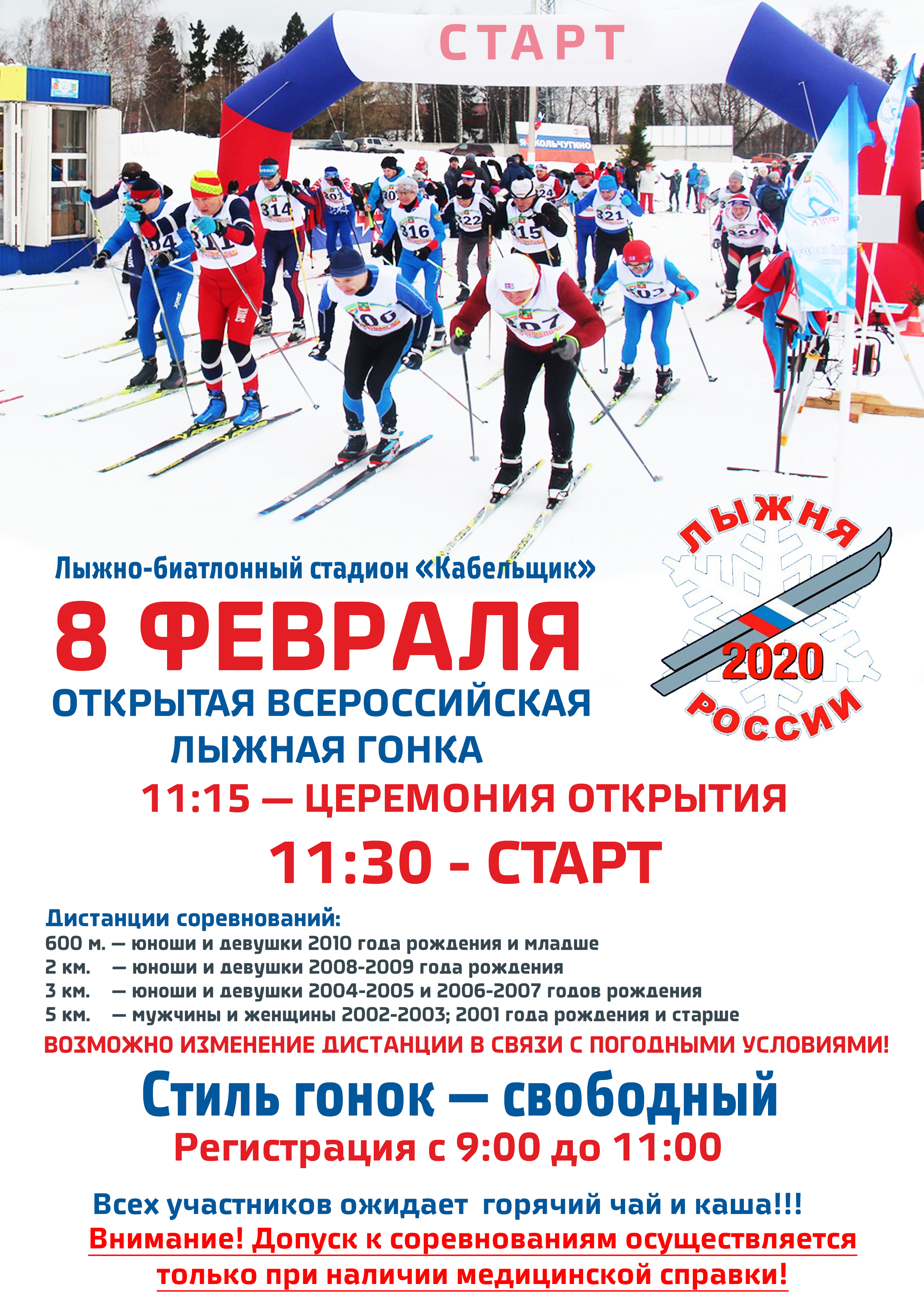 Лыжня кольчугино. Лыжня кольчугино